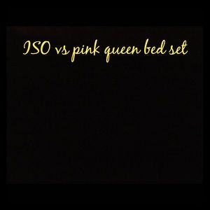 Looking for a vs pink queen size bed set!